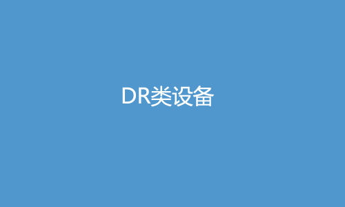 DR类设备