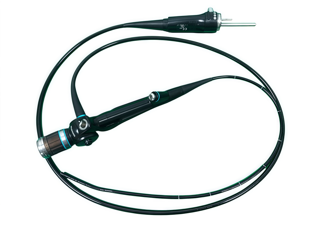 Olympus奥林巴斯 纤维支气管镜 BF-P60